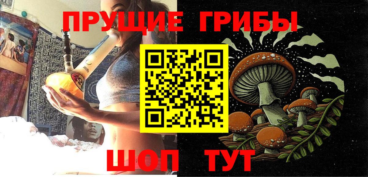 Галлюциногенные грибы прущие грибы Кропоткин