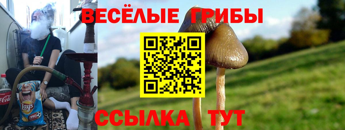 Псилоцибиновые грибы прущие грибы  Галлюциногенные грибы Psilocybe  Вход с VPN  Кропоткин 